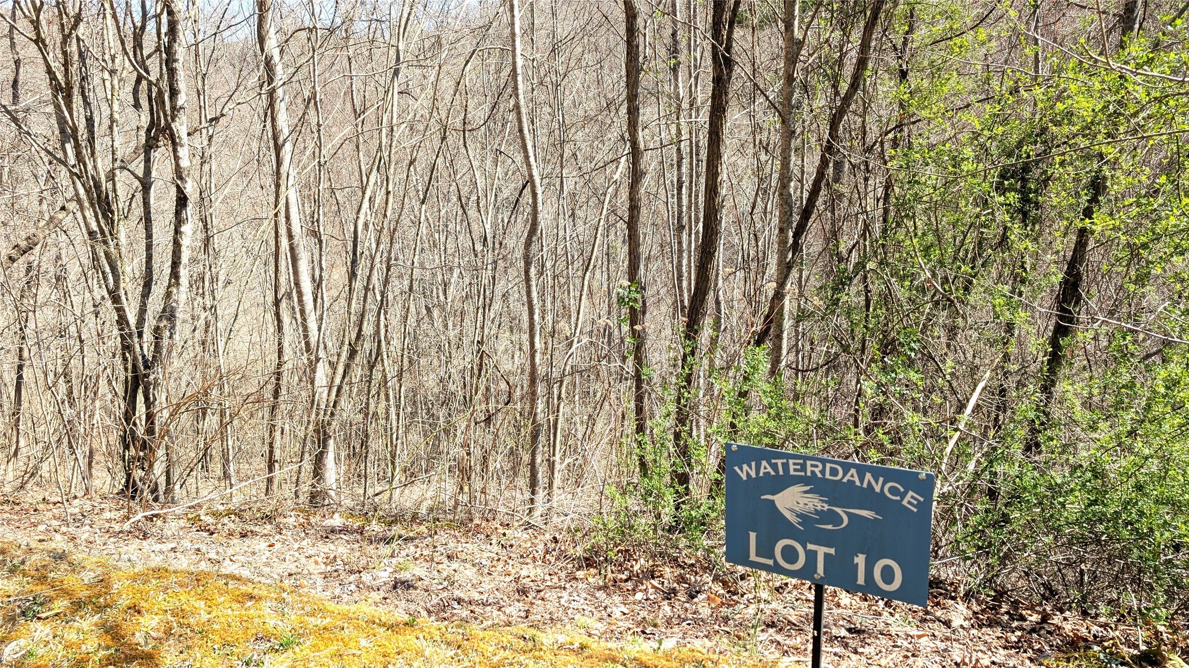 Riverfront Mountain Sanctuary Land