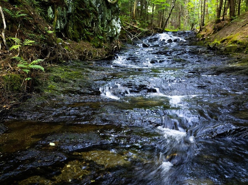 Picture 8