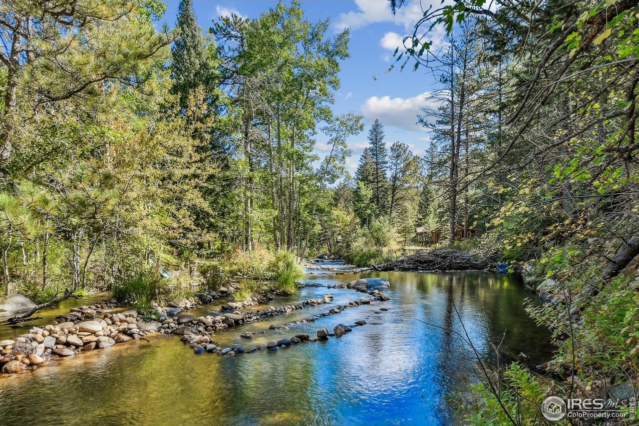 Lyons Land with River Frontage