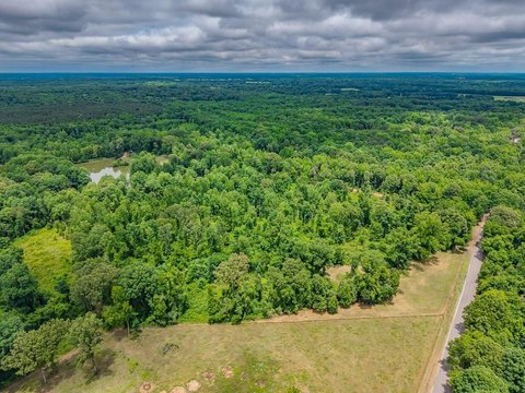 Recreational Hunting Land Tract