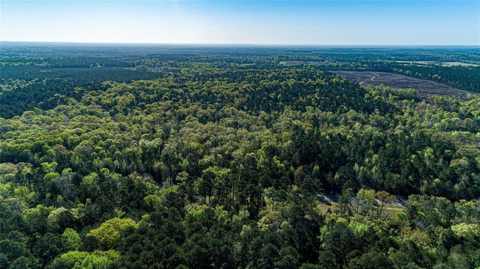 120 Acres of Hunting Land