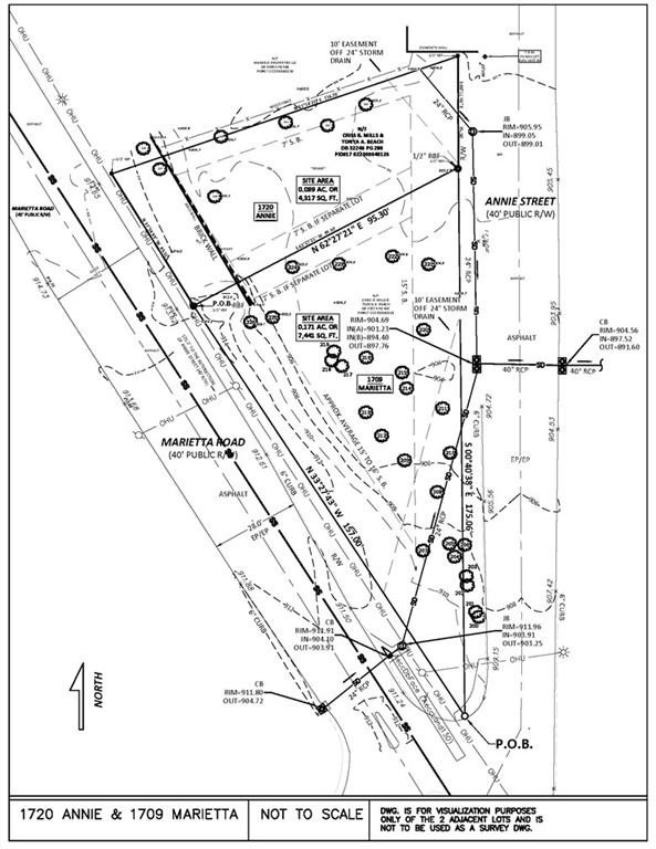 Picture 14
