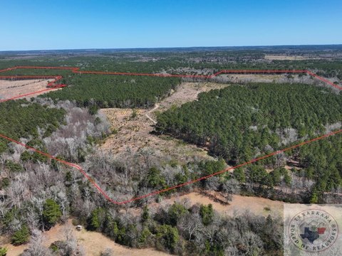 Timberland Investment & Hunting Tract