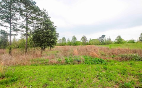 Acreage Homesite in Star Mountain Ranch