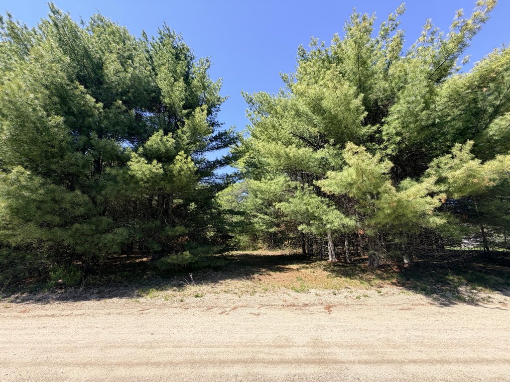 Picture 6