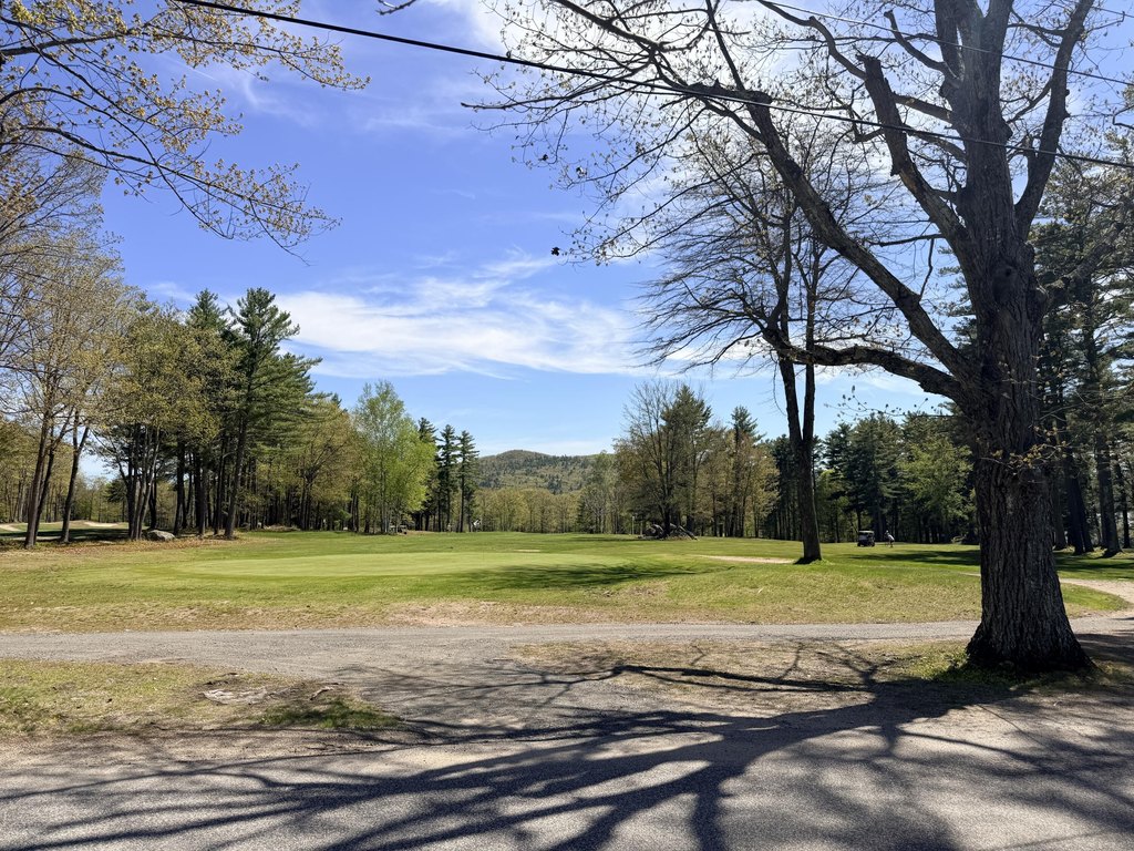 Picture 21
