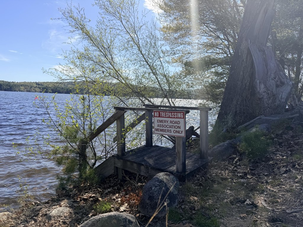 Picture 41