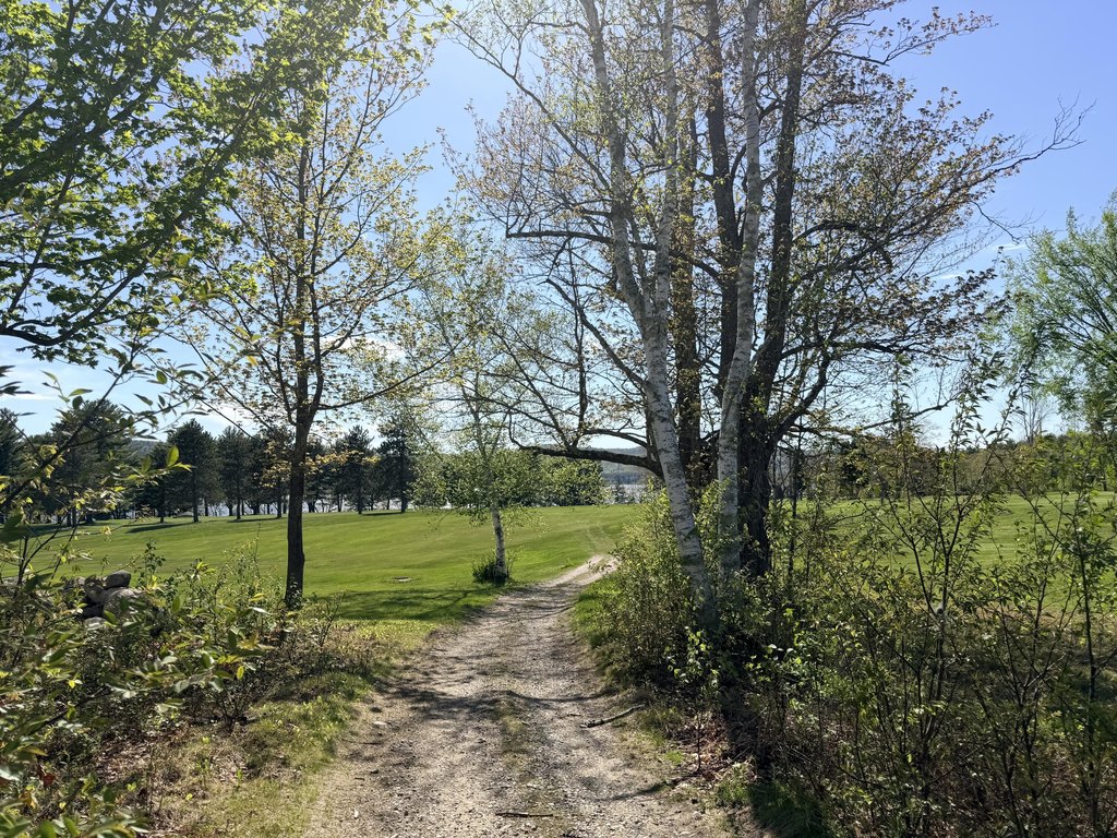 Picture 37