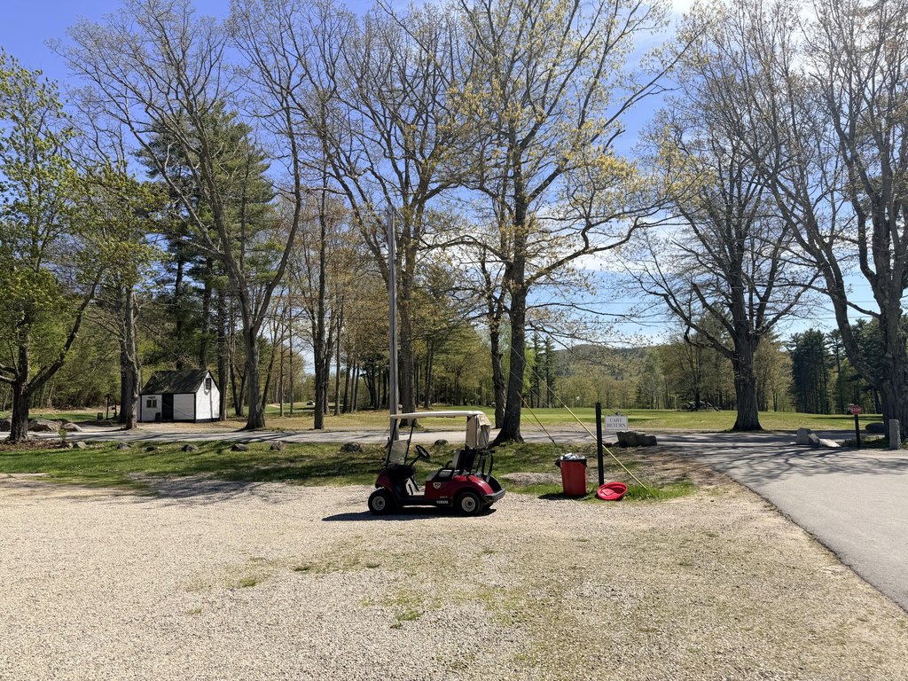 Picture 19