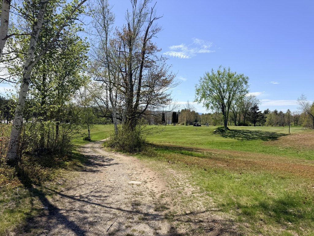 Picture 38