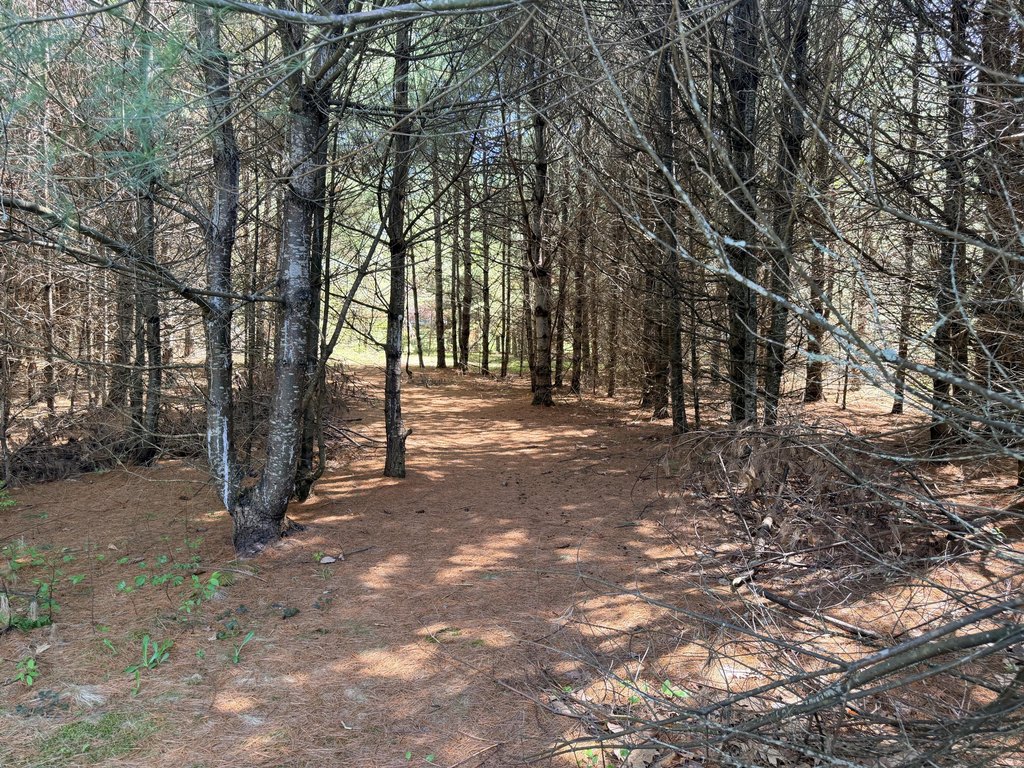 Picture 10