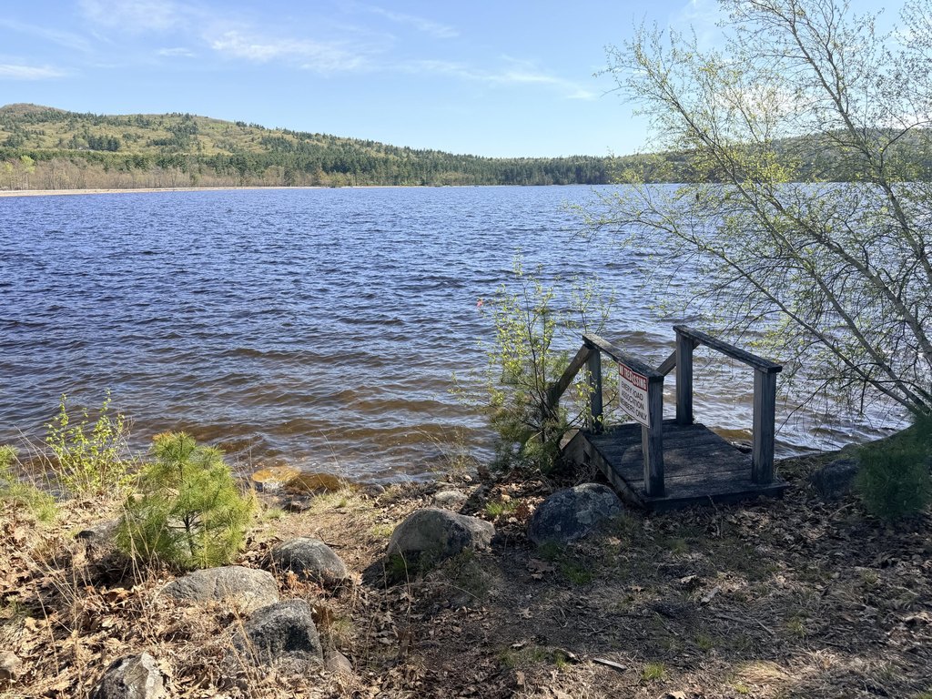 Picture 42