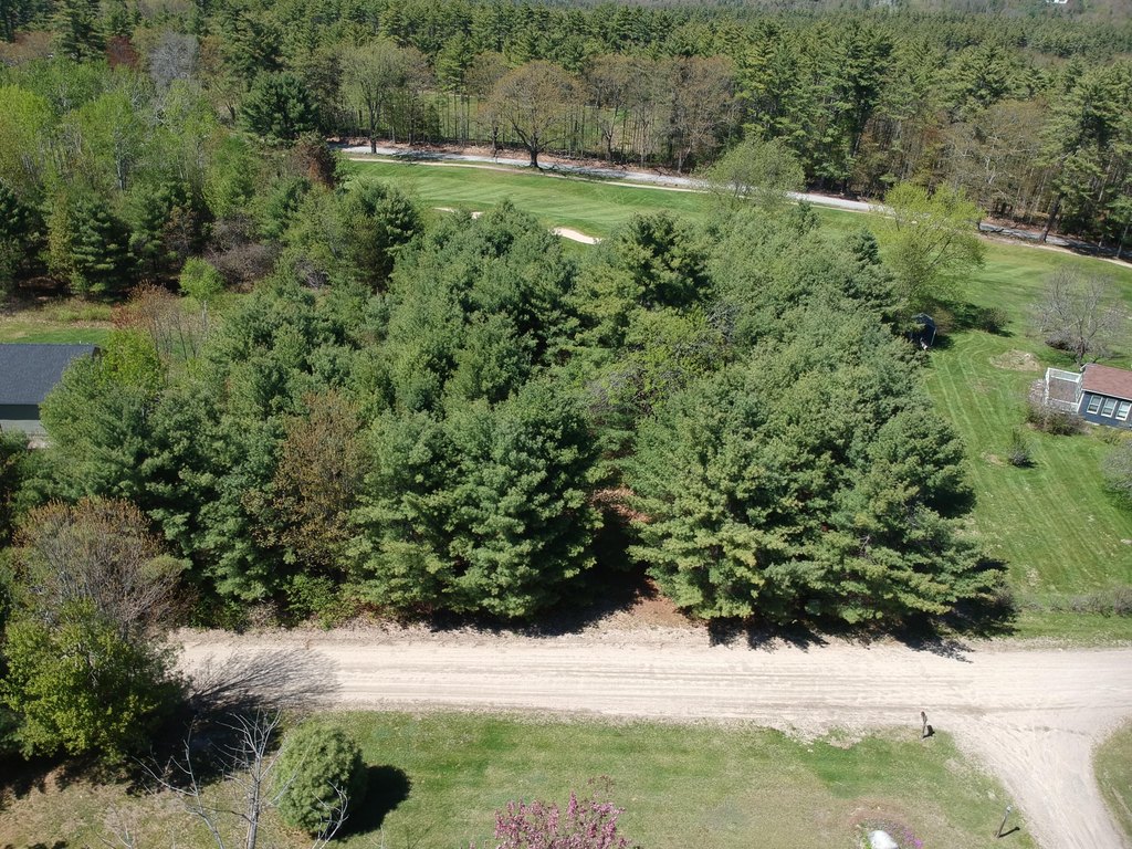 Picture 2