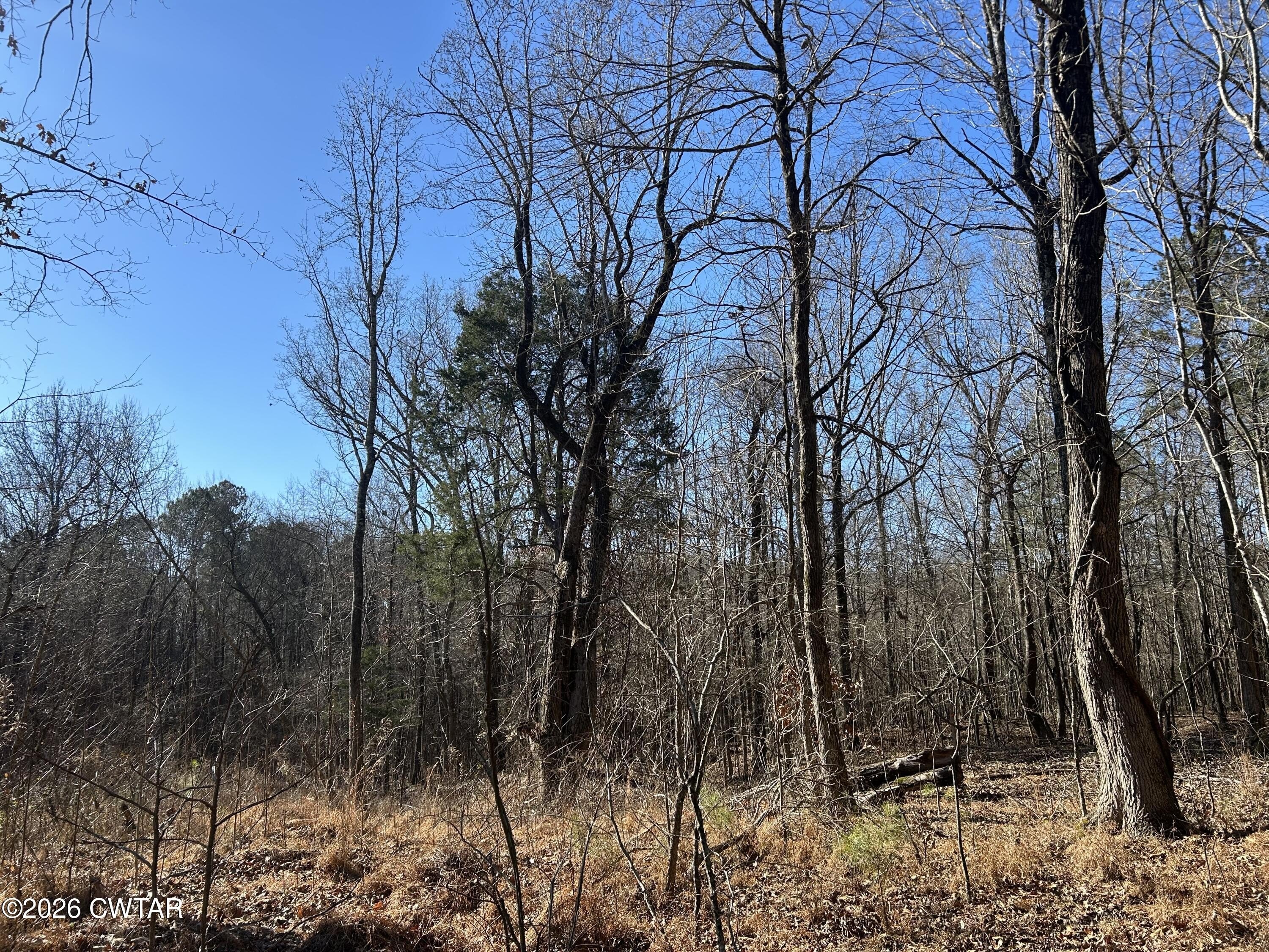 Secluded Wooded Land For Sale
