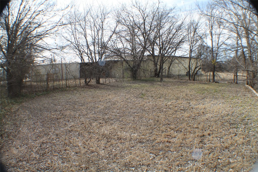 Picture 13
