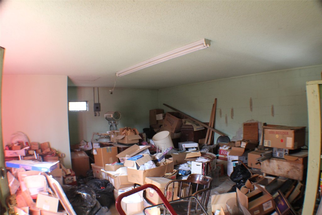 Picture 5