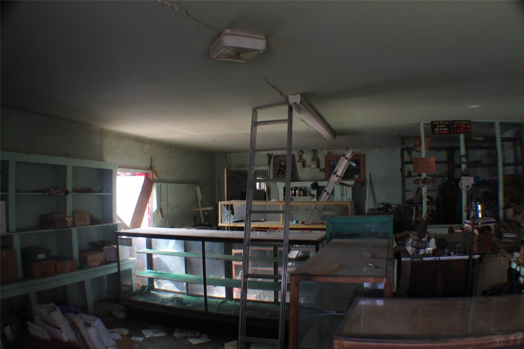 Picture 6
