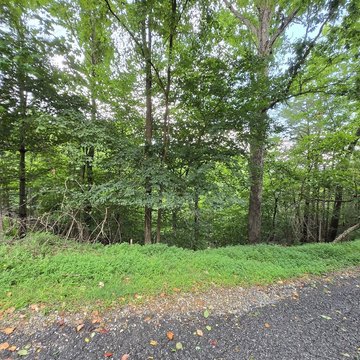 LAND - Blue Ridge, GA
