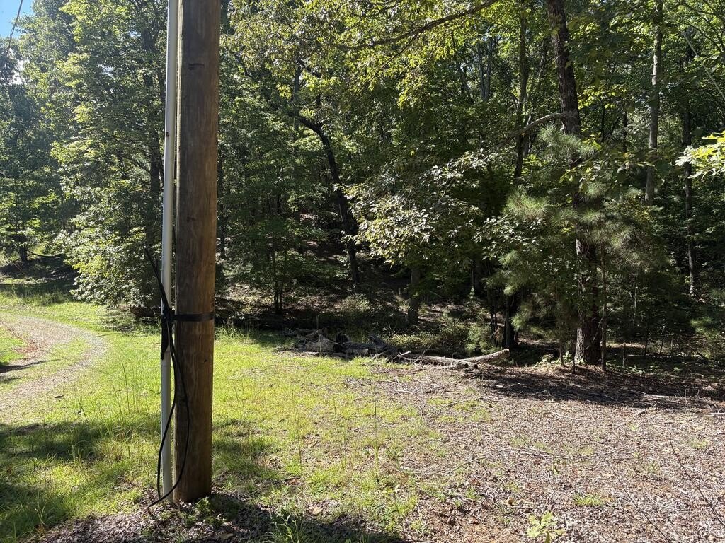 Picture 3