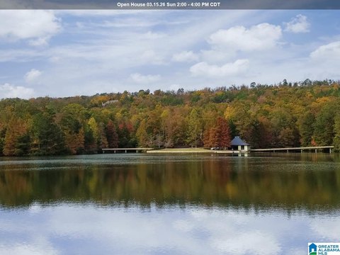 Secluded Birmingham Land Opportunity