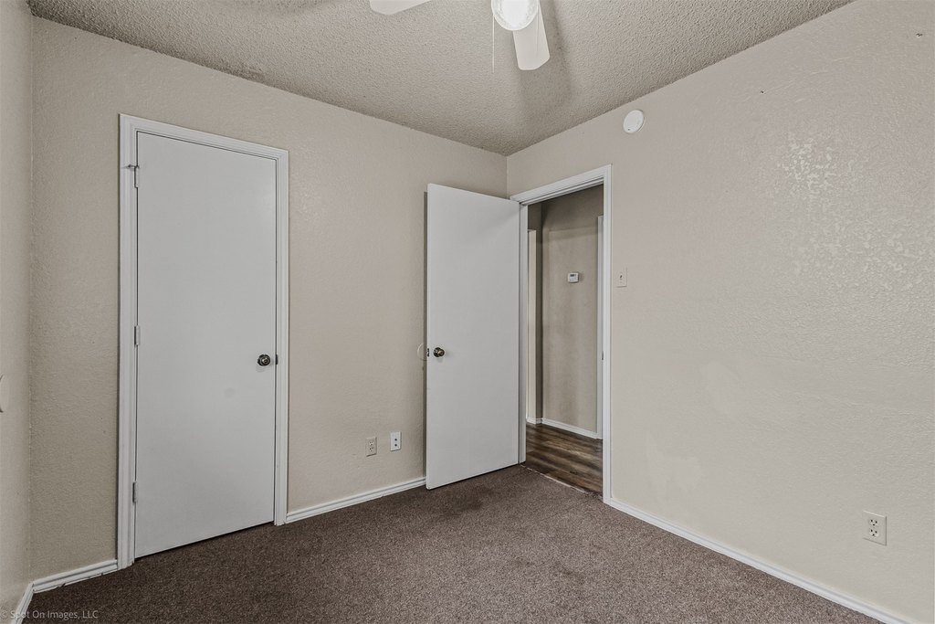Picture 31