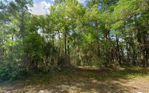 LAND - Citrus Springs, FL