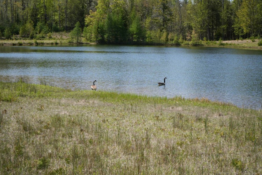 Picture 24