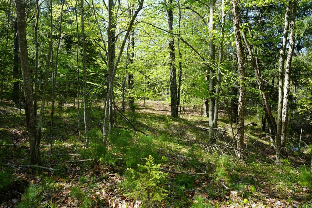 Picture 41