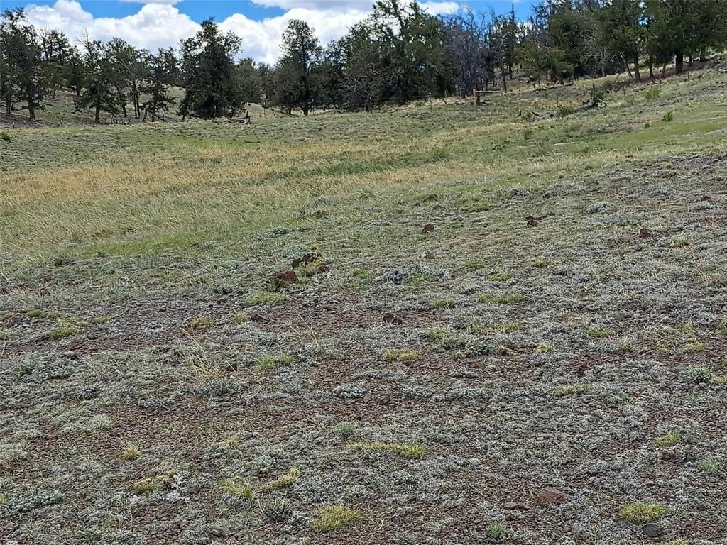 Picture 20