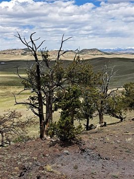 Land in Hartsel, Colorado