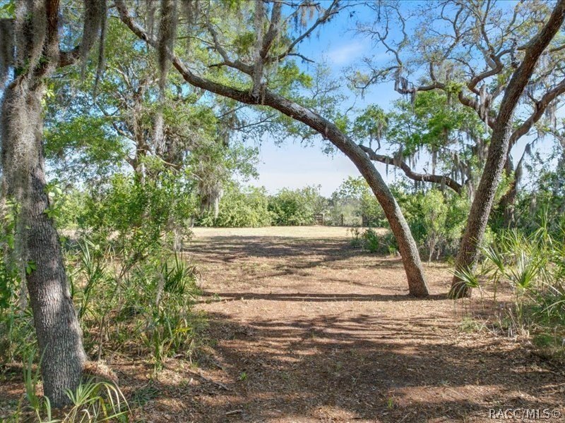Picture 17