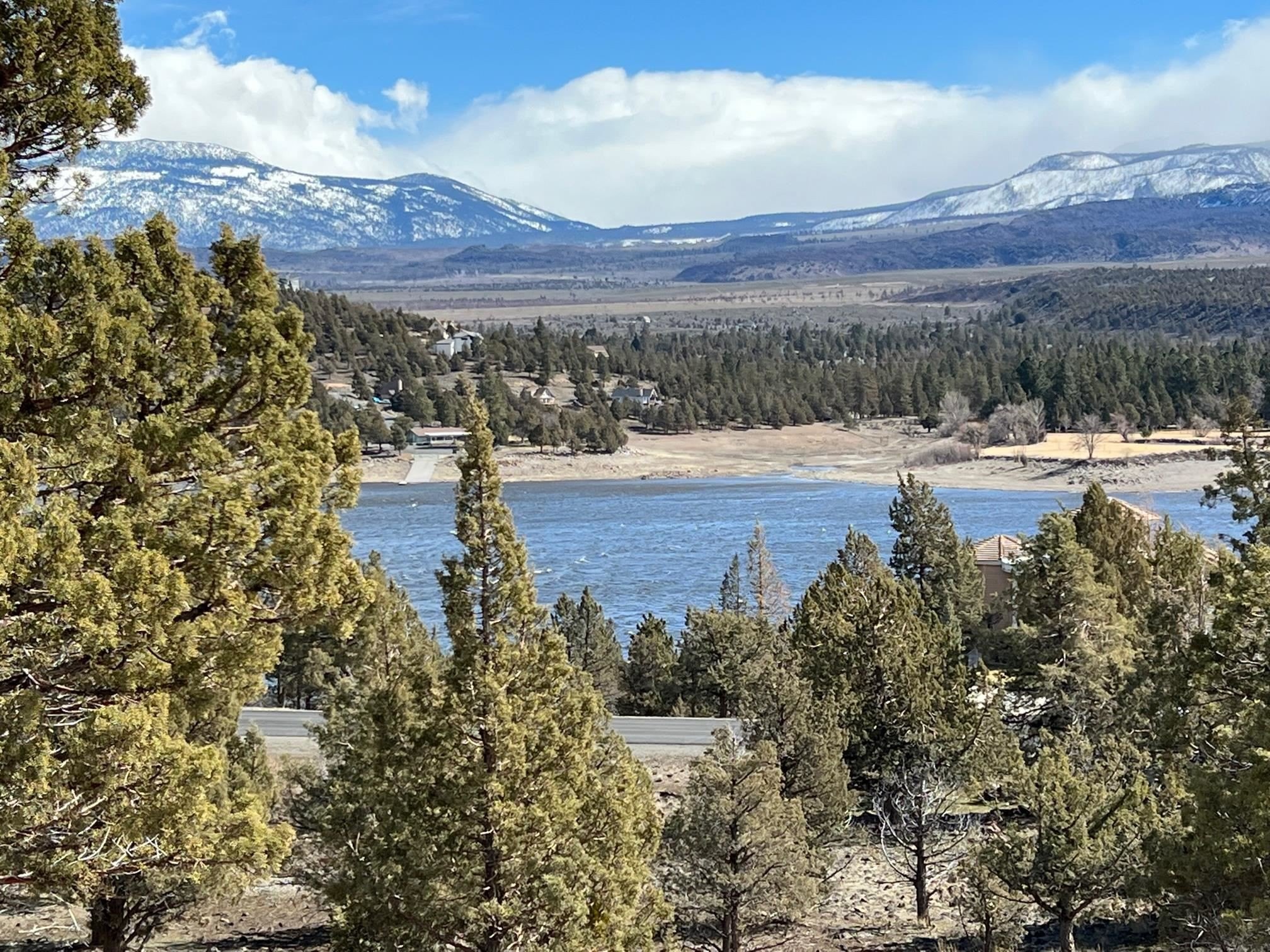 Land with Lake Shastina Views