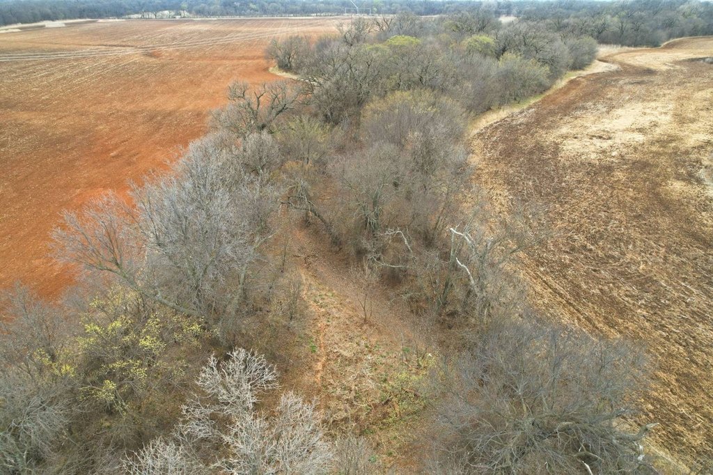 Picture 12