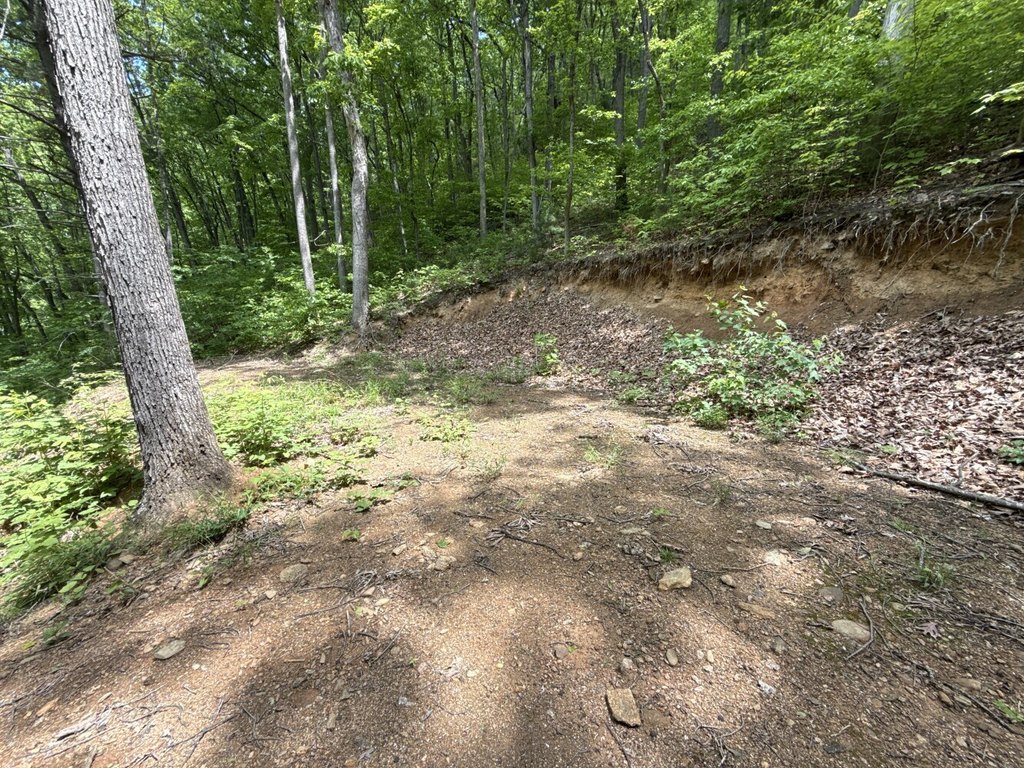 Picture 16