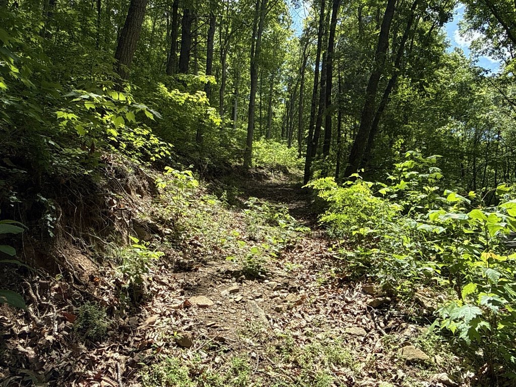 Picture 22