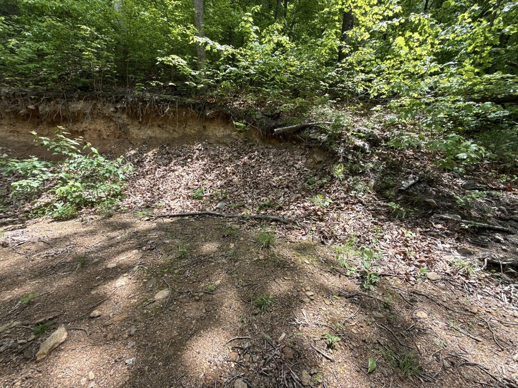 Picture 17