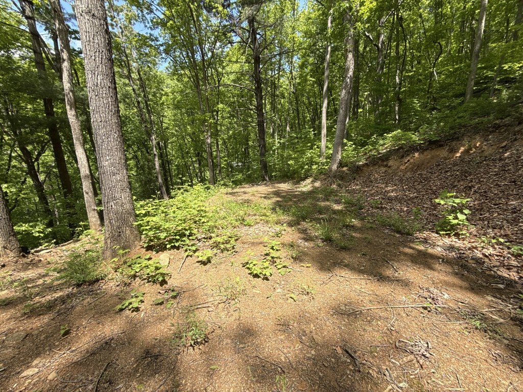 Picture 18