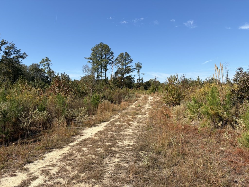 Picture 27