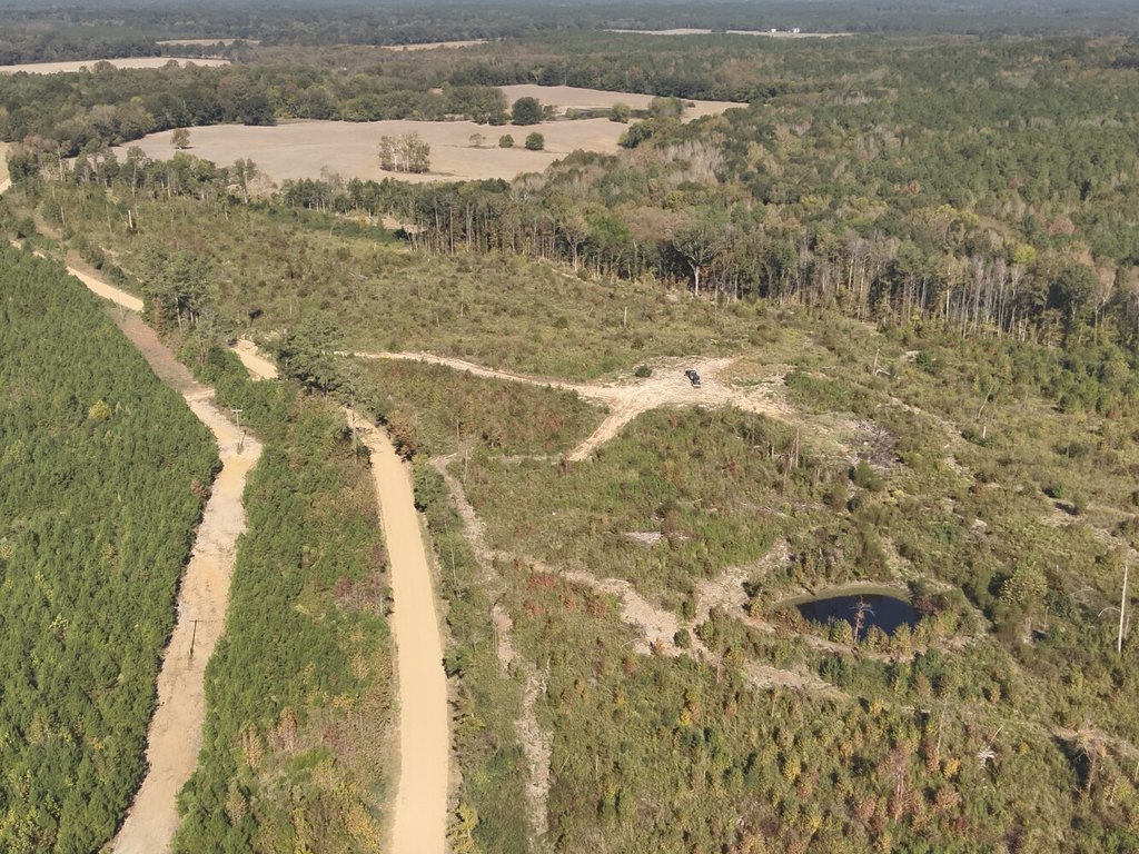 Picture 20