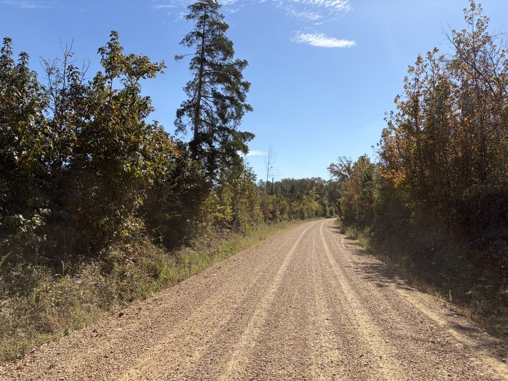 Picture 4