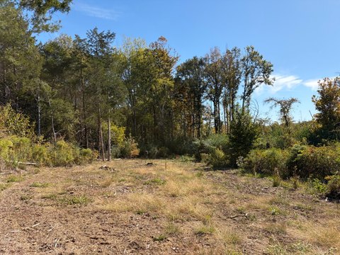 Land, Macon, MS