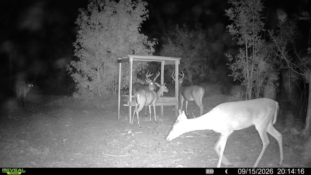 Picture 6