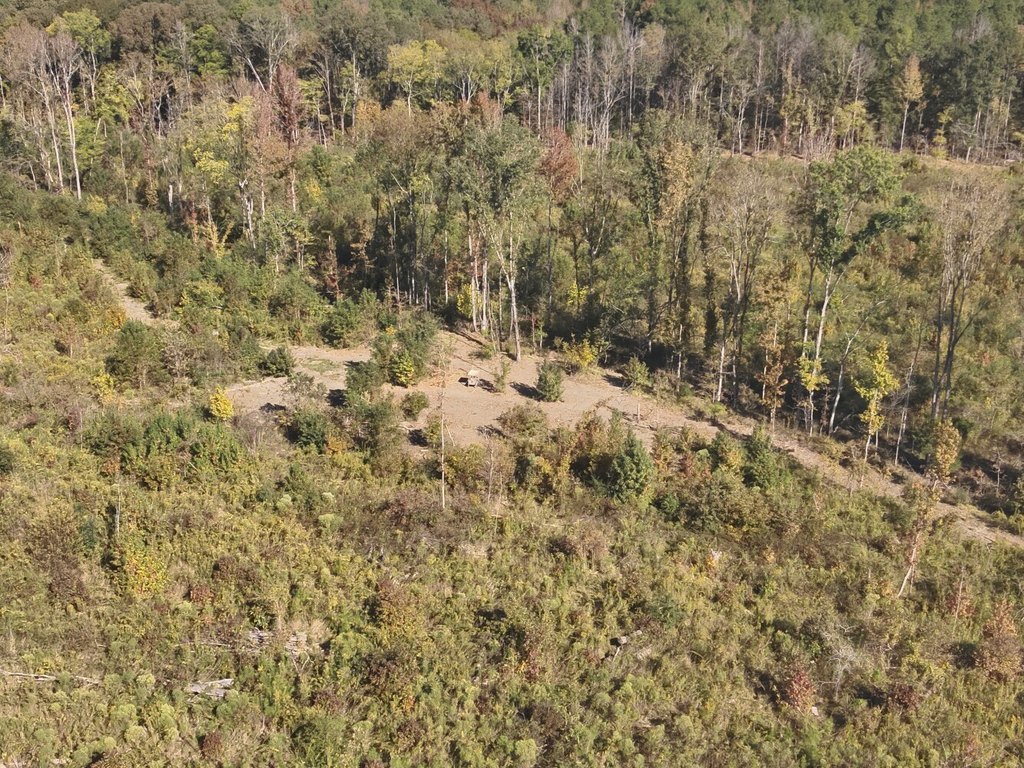 Picture 19