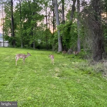 Large Vienna Land Parcel