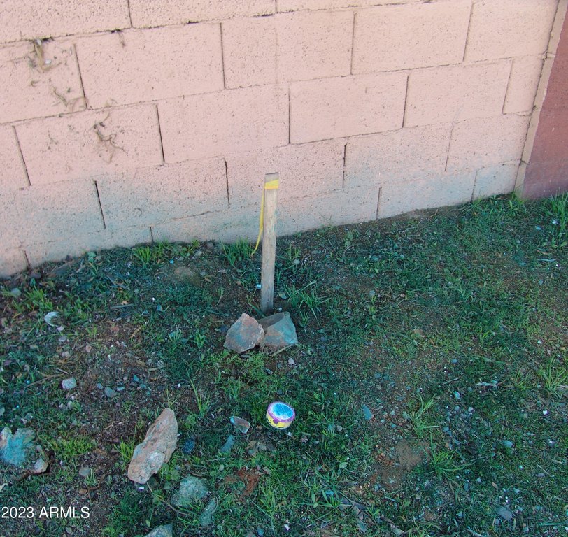 Picture 9