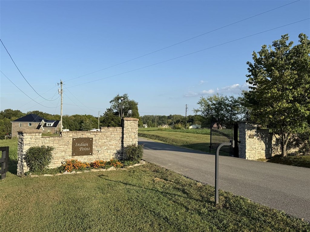 Picture 12