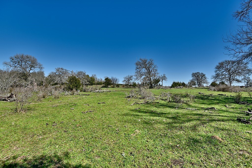 Picture 10