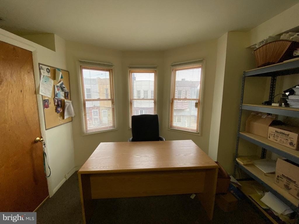 Picture 15