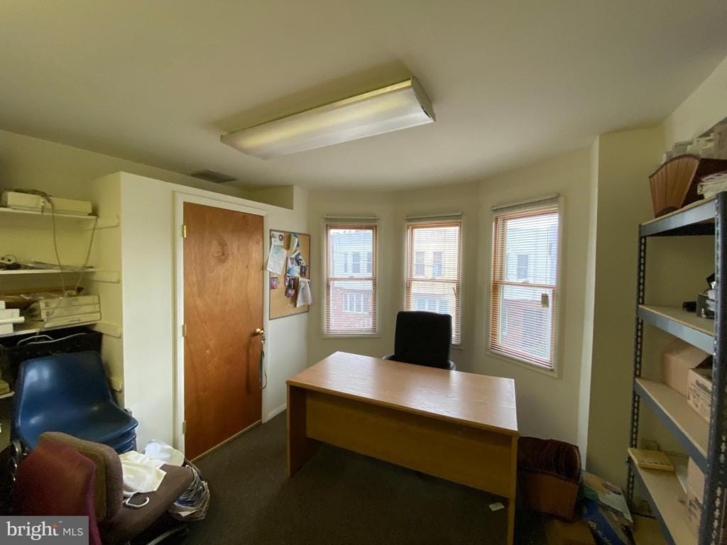 Picture 14