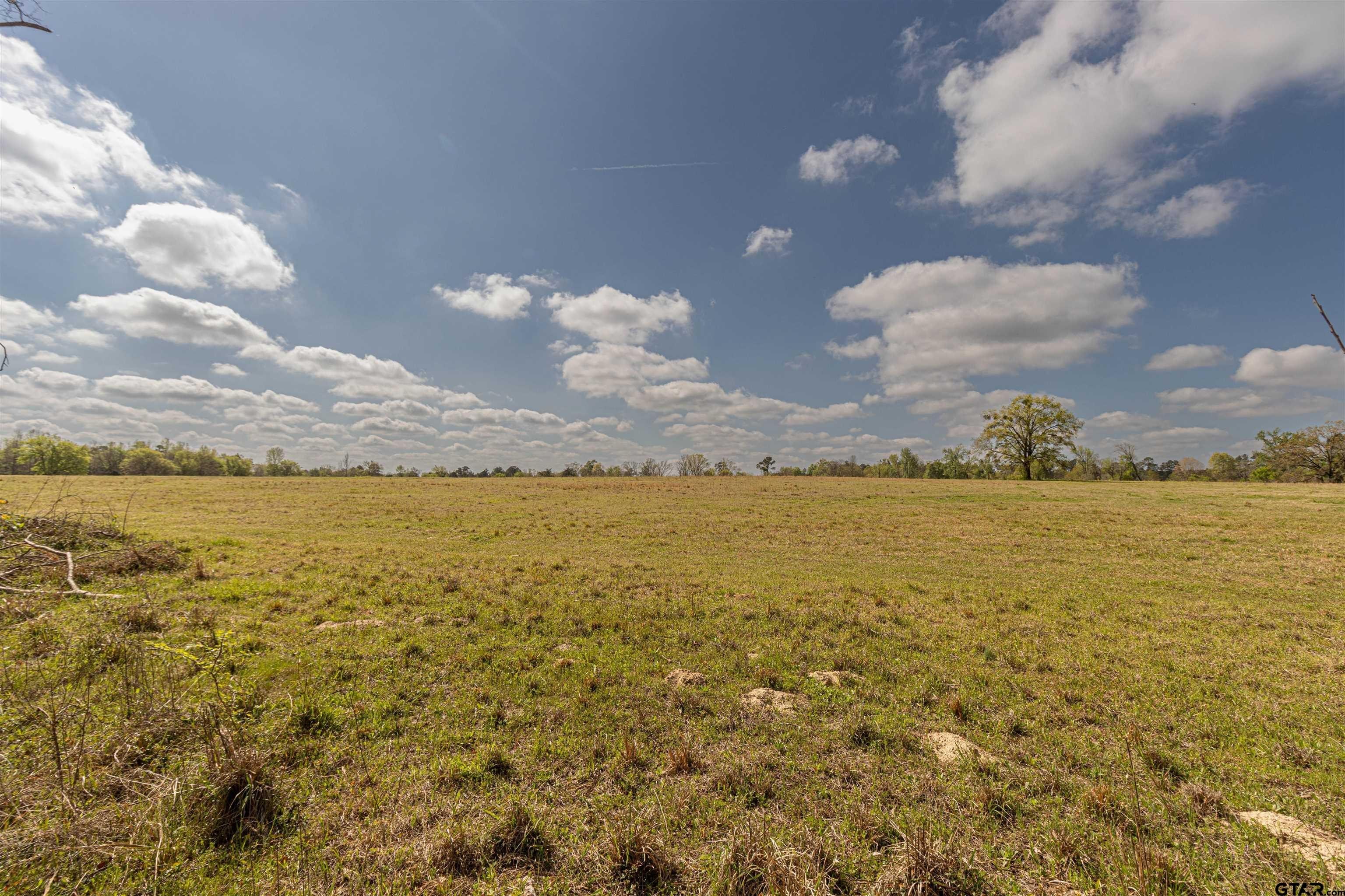 Winona, TX Rural Acreage